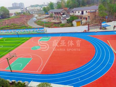 Chongqing Dazu District Shima School