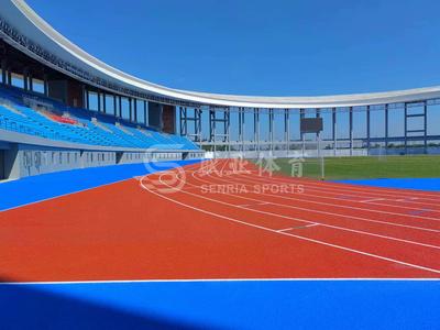 Yidu Civic Activity Center Gymnasium