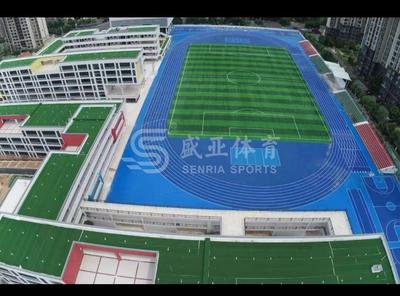 Yichang tianjiabing primary and middle school · runway